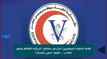 نقابة الأطباء البيطريين تحذر من مخاطر “خربشة القطط وعض الكلاب”.. فكيف تحمي نفسك؟